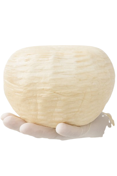 অষ্টগ্রাম পনির